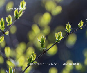 <span class="title">しばさきニュースレター　2026年3月号</span>